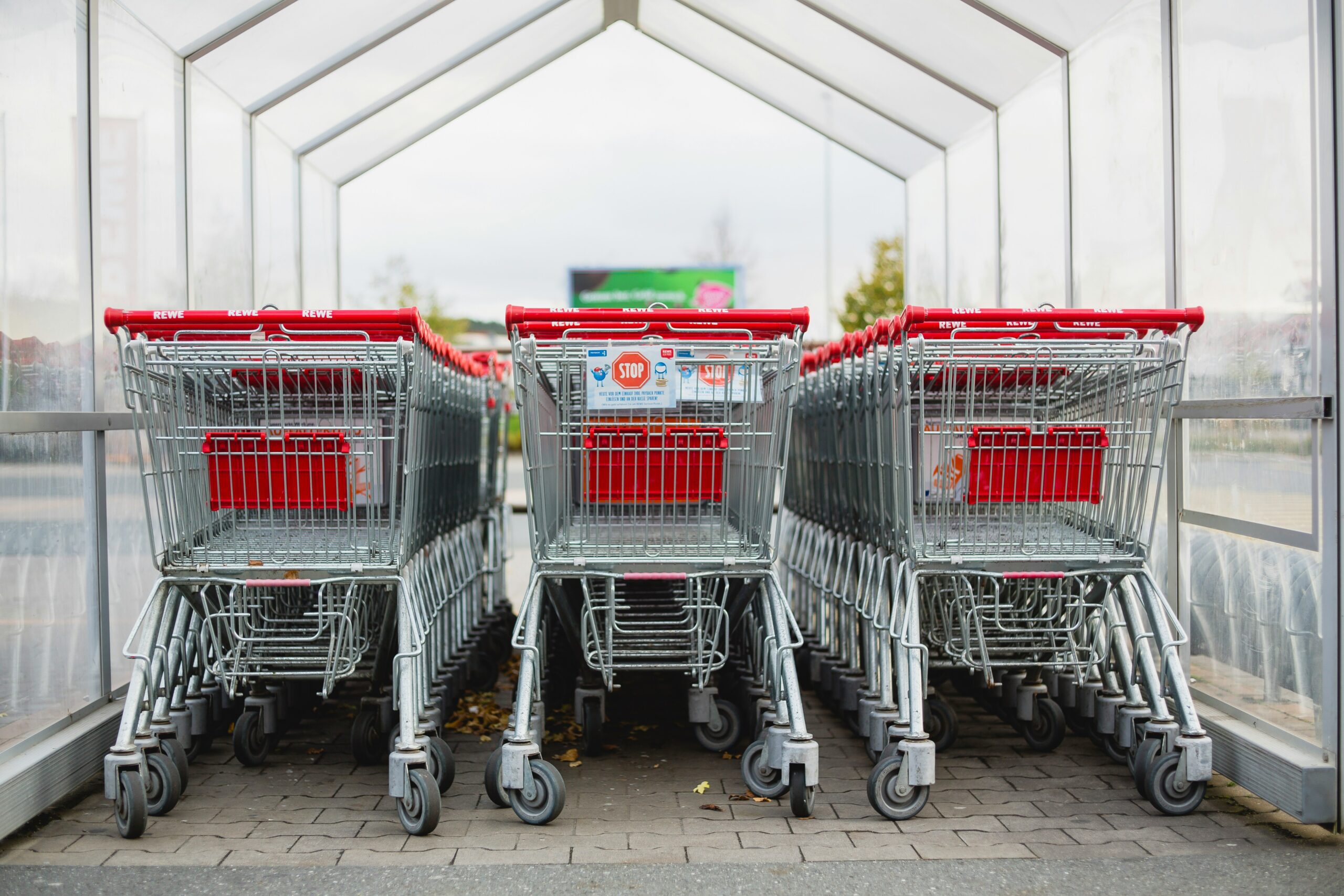 Gray and red shopping carts