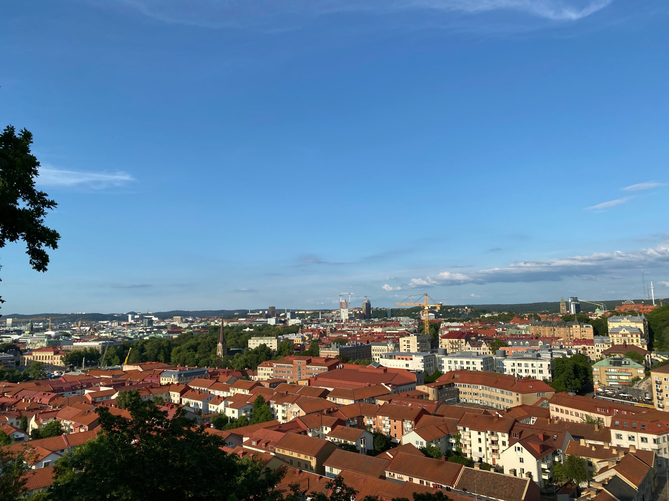 A city with many buildings